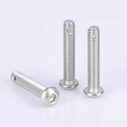 Stainless steel anti-theft screws