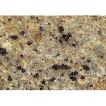 Harga granit Giallo Gold Brazil