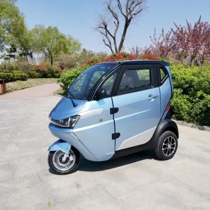 Cars EEC Personal Passenger Transportation Vehicles Cars