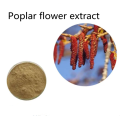 Buy online active ingredients Poplar flower extract powder