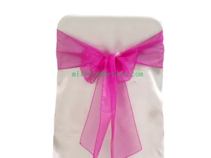 ORGANZA SASHES