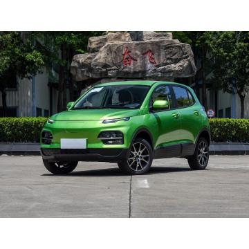 chinese cheap fast EV 2wd electric cars vehicles on sale