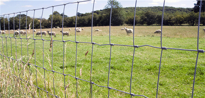 steel tensile fence