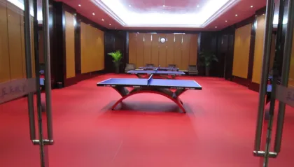 Professional USA sports flooring for ping pong