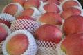 Fresh Delicious Good Quality Qinguan Apple