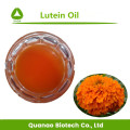 In water oplosbare luteïne 5% extract van goudsbloembloempoeder