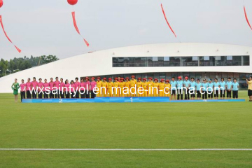 Beautiful Appearance for Cricket Field with Artificial Grass (CPG-10A)