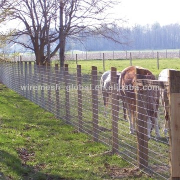 Cattle Field Fencing