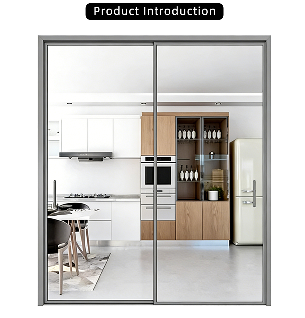Minimalist Double Panel Single Glass Sliding Door X