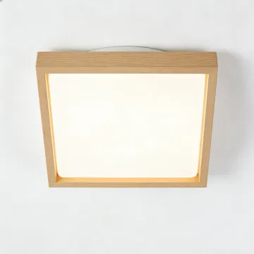 Ceiling light with soft diffused output