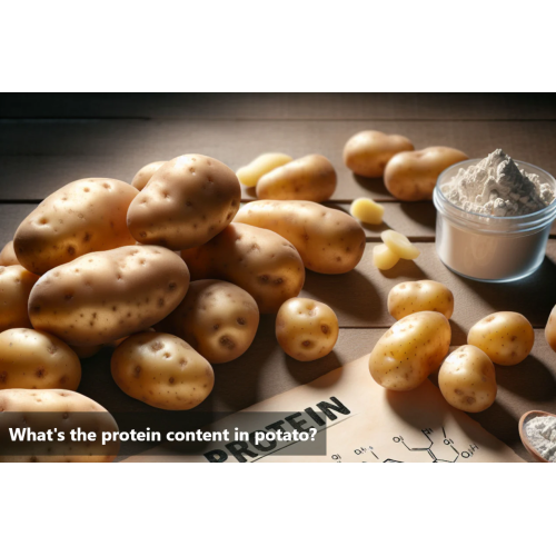 Potato Protein Powder 80% For Health Food