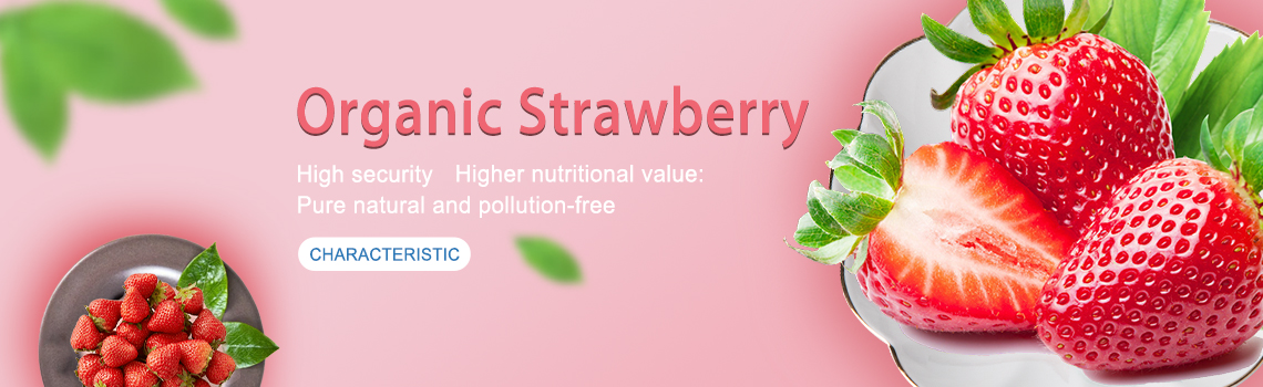 organic strawberry powder amazon