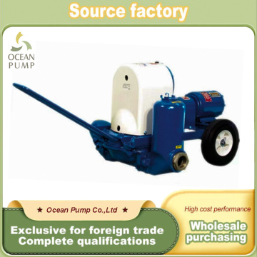 Dizel Motor Basınç Test Pompası