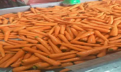 fresh vegetables fresh carrot