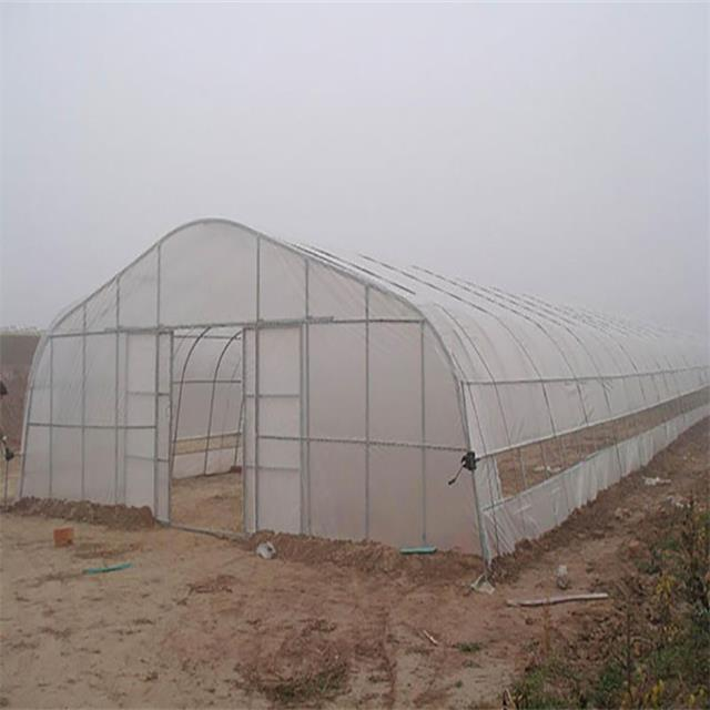 Cheap Single Span film blackout Tunnel Greenhouse