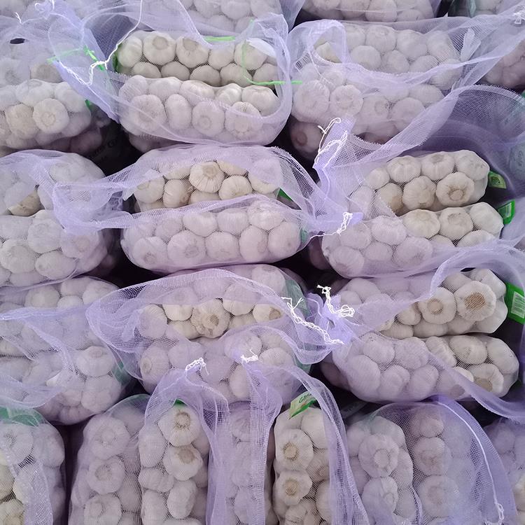 Supply Chinese White Fresh Garlic Price Packing