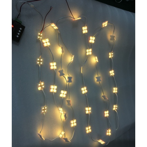 Digitale LED Sign Light String