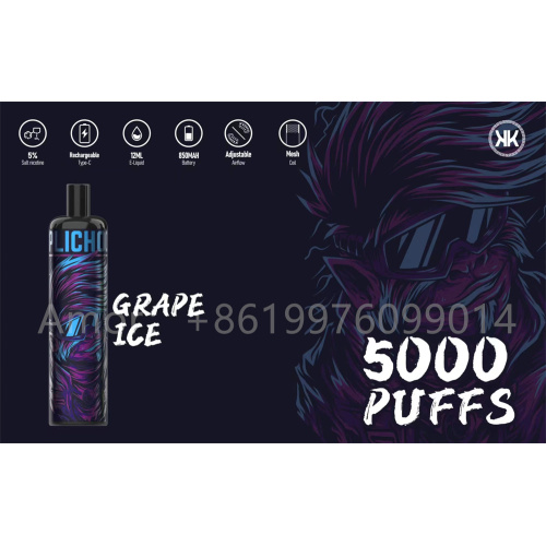 Energy 5000 Puffs Mesh Coil Disposable Vape Pod