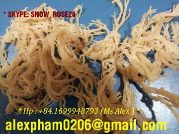 Eucheuma Cottonii Seaweed, White Cottonii, Irish Moss,Spinosum Seaweed