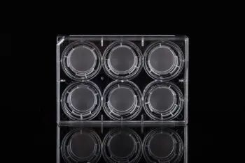 PET Memberane Cell Culture Inserts for 6-well Plates