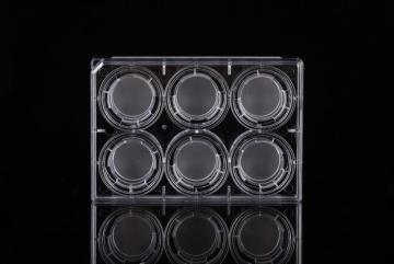 Pet Memberane Cell Culture Inserts สำหรับแผ่น 6 หลุม