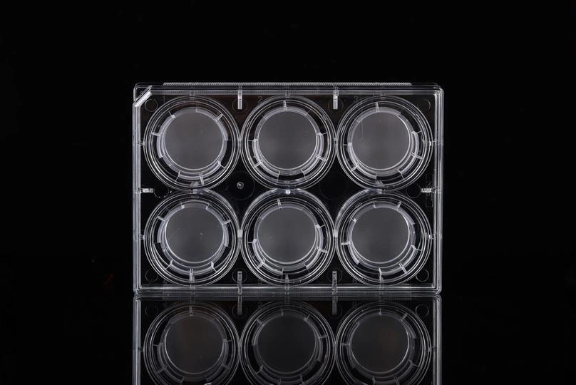 PET Memberane Cell Culture Inserts for 6-well Plates China Manufacturer