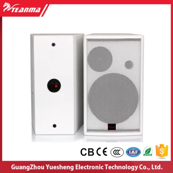 T108 180W single Professional speaker