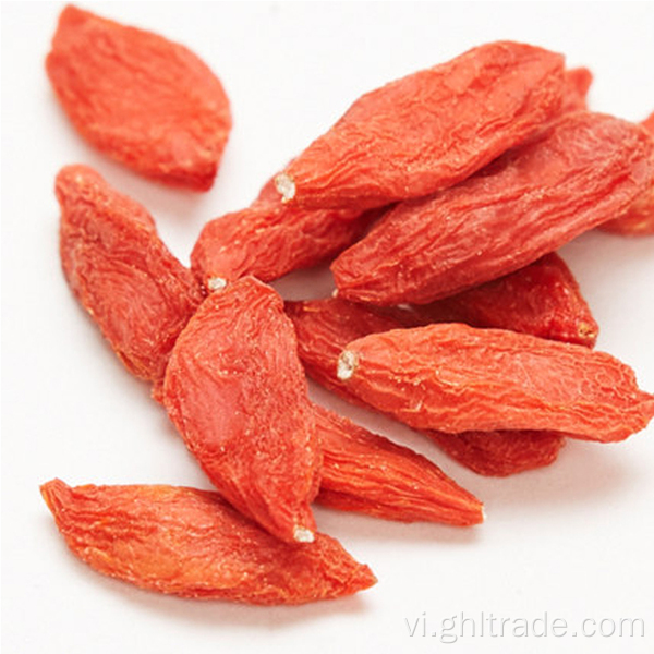 Wolfberry tươi, bổ dưỡng, khô