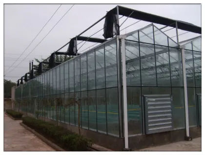 industrial greenhouse ventilation fans
