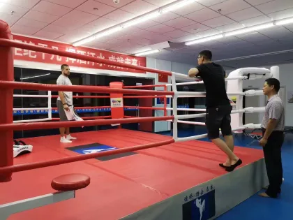 Professional Boxing Training Gym with Boxing Ring (With or Without Table)
