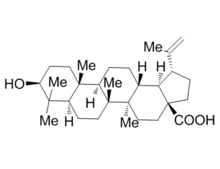 Betulinic Acid Powder for Nutritional Supplements