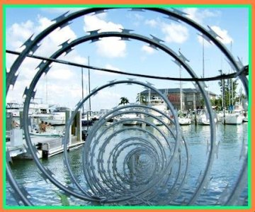 concertina wire