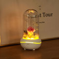 Home flower Scent Diffuser perfume glass bottle