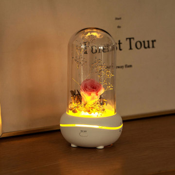 Home flower Scent Diffuser perfume glass bottle