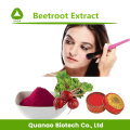 Extrait de jus de betterave de pigment naturel en poudre rouge