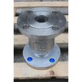 Stainless steel vertical check valve