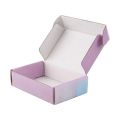 Custom Logo Printed Carton Cardboard Shipping Box