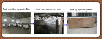 Sterilize Machine for food packing processing line