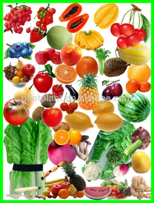 pharmaceutical lab spray dryer