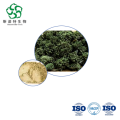 Premium Panax Notoginseng Flower Extract 10:1 for Heart & Immune Health