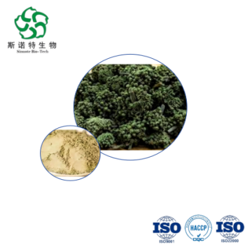 Premium Panax Notoginseng Flower Extract 10:1 for Heart & Immune Health