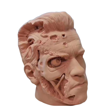 Custom 3D Printing Service & OEM Personality Designer