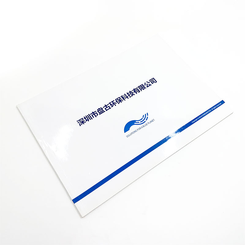 Enterprise introduction brochure customization