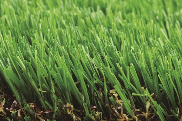 15 6 6 Charming Artificial Grass 01