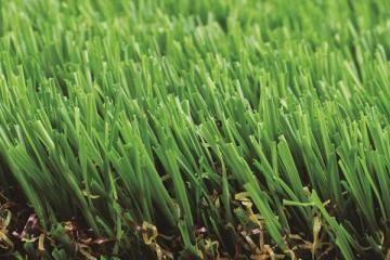 Artificial Grass for Pets, MT-Charming
