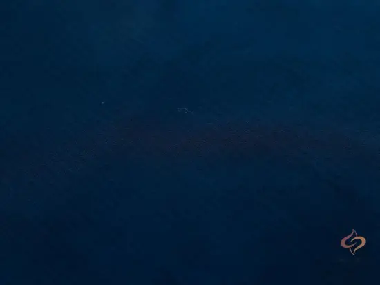 Nylon And Cotton Blend Fabric SM15886