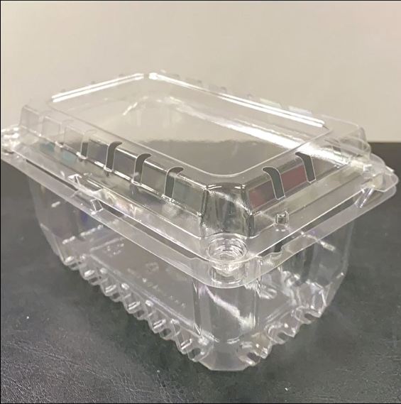 Blister Packaging Clear Plastic Clamshell Food Containers