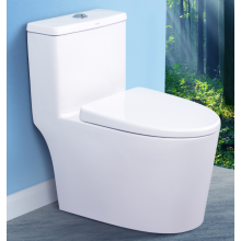 Advantages of the toilet