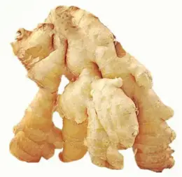 Fresh Ginger