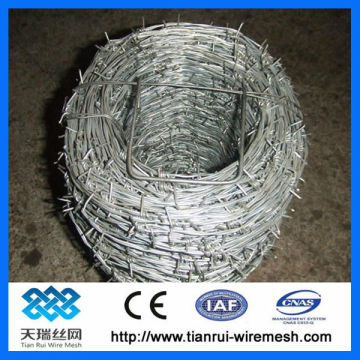 14x14 16x16 electro/ hot dipped galvanized barbed wire
